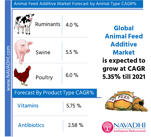 Global Animal Feed Additive Market Research Report 2021 (by Animal Type,  Product Type and Geography) | NAVADHI Market Research