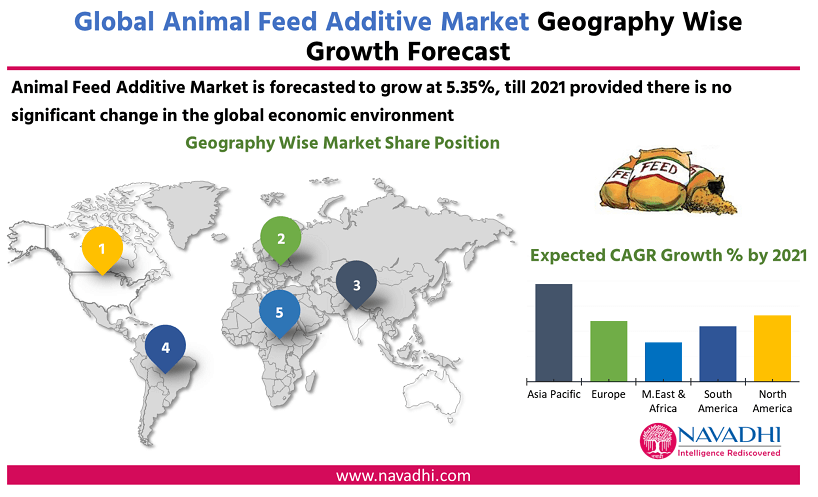 Global Animal Feed Additive Market by Geography