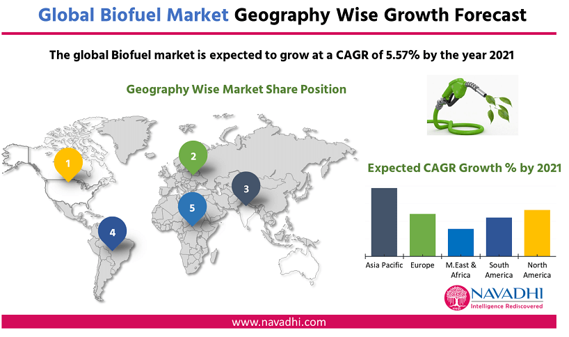 Global Biofuel Market by Geography