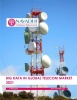 Big Data in Global Telecom Market 2021